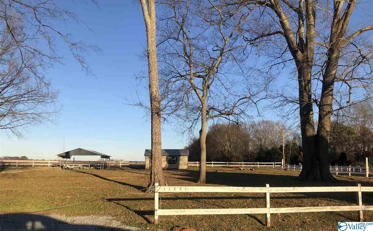 10331 Paradise Shores Road - Photo 1