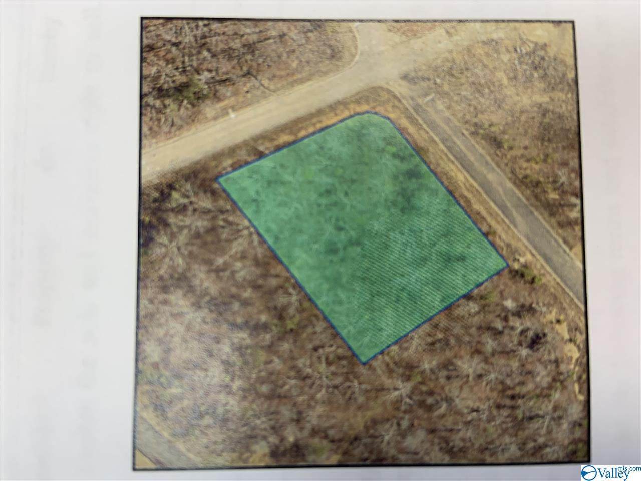 Lot 48 Raintree Drive - Photo 1