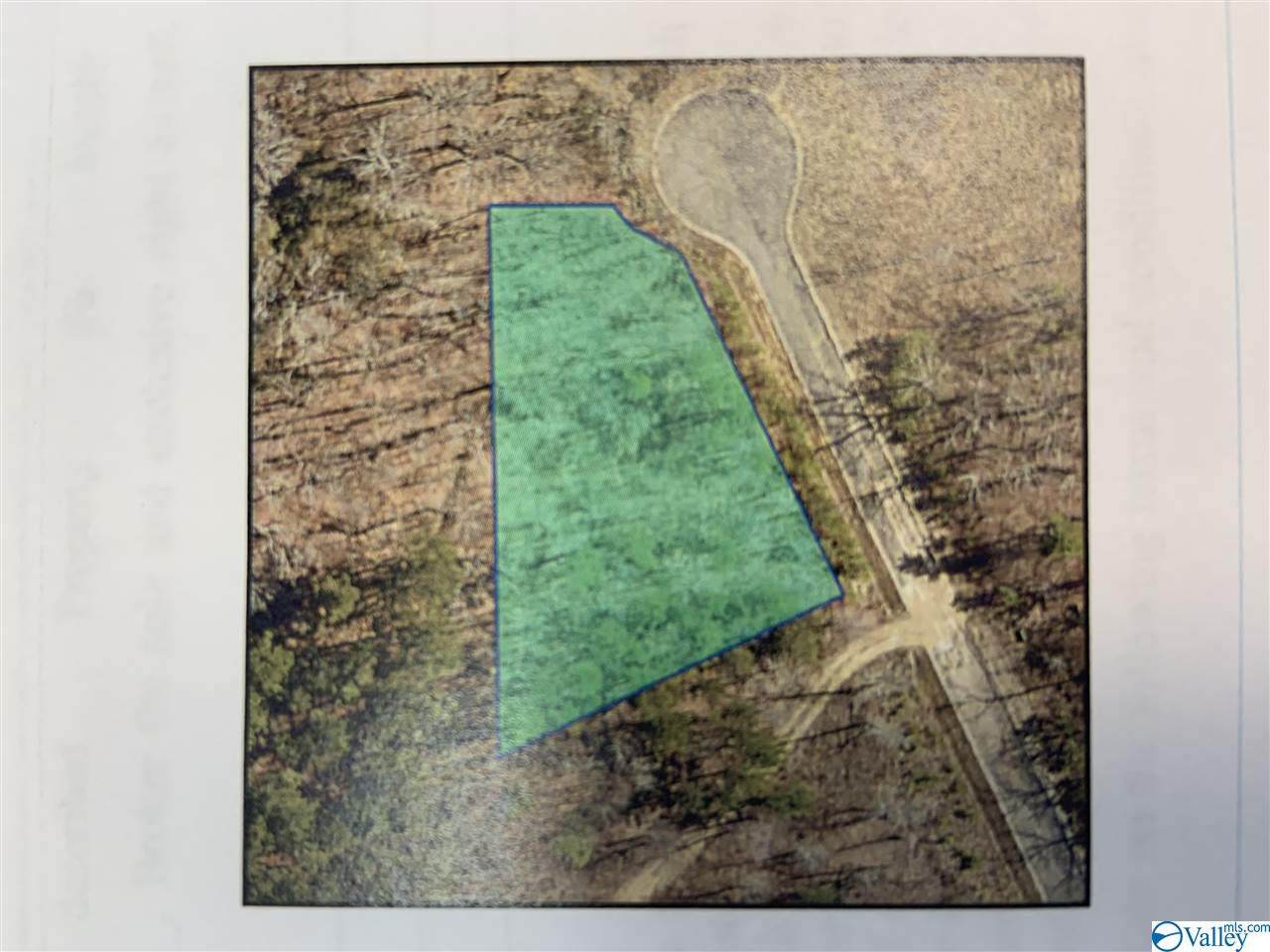 Lot 18 Azalea Trail - Photo 1