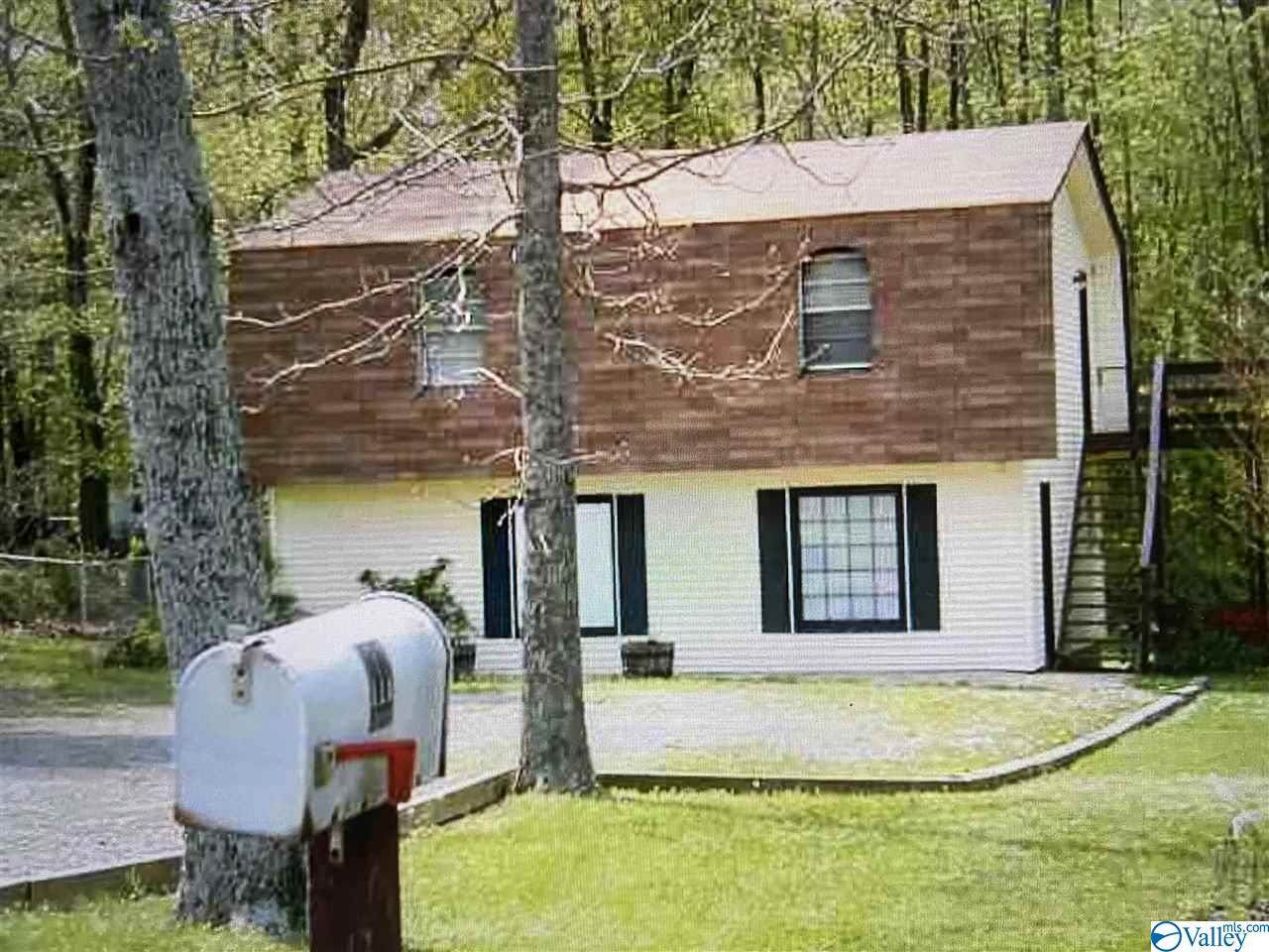 131 & 111 Holbrook Drive - Photo 1