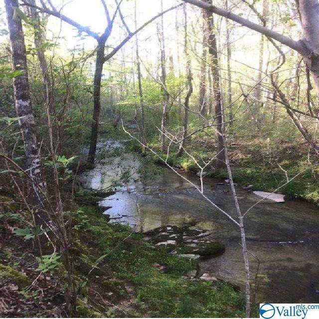 5295 Egypt Road - Photo 1