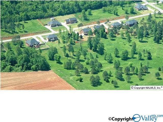 102 North Rim Road - Photo 1