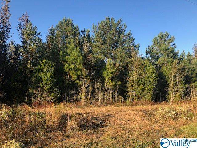 Lot 2 Mcglathery Lane - Photo 1