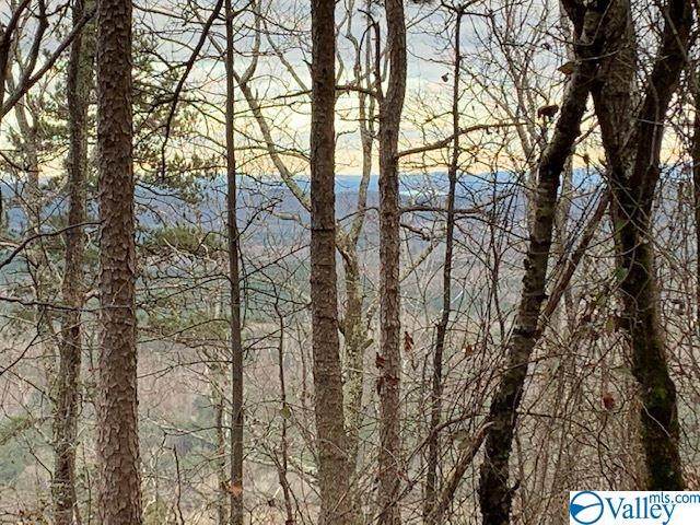 B20,21,22,23 County Road 865 - Photo 1