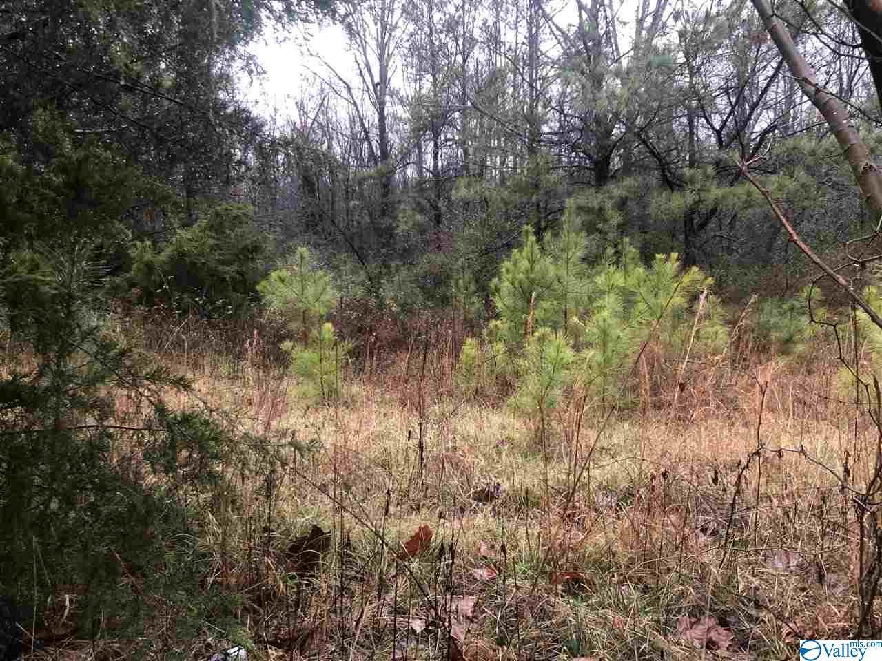 0 County Road 1208 - Photo 1