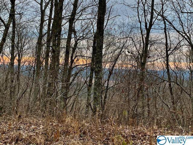 Lot 24, 25 County Road 861 - Photo 1
