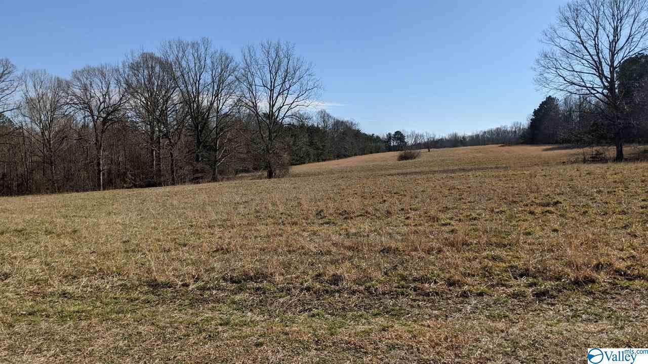County Road 630 - Photo 1