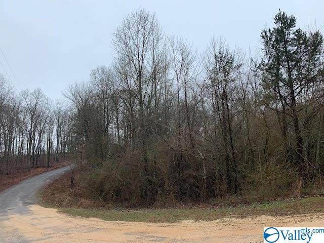 Lot 48 County Road 1025 - Photo 1
