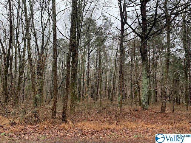 lot 26 County Road 1025 - Photo 1