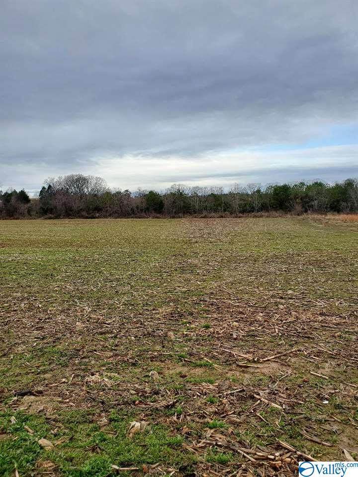 000 Jeff Road - Photo 1