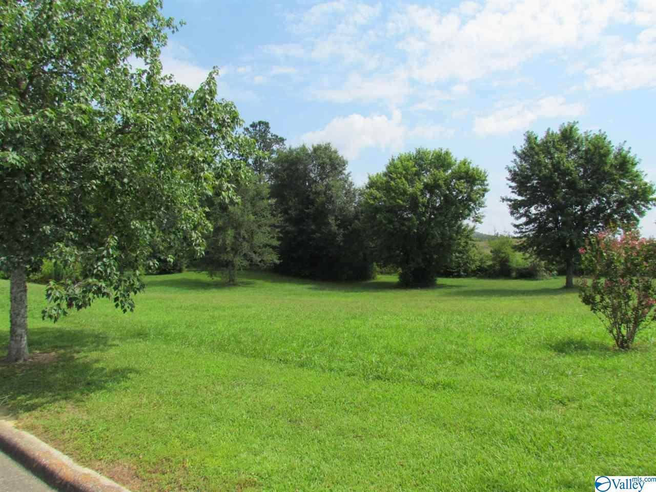 25 Silver Lakes Blvd - Photo 1
