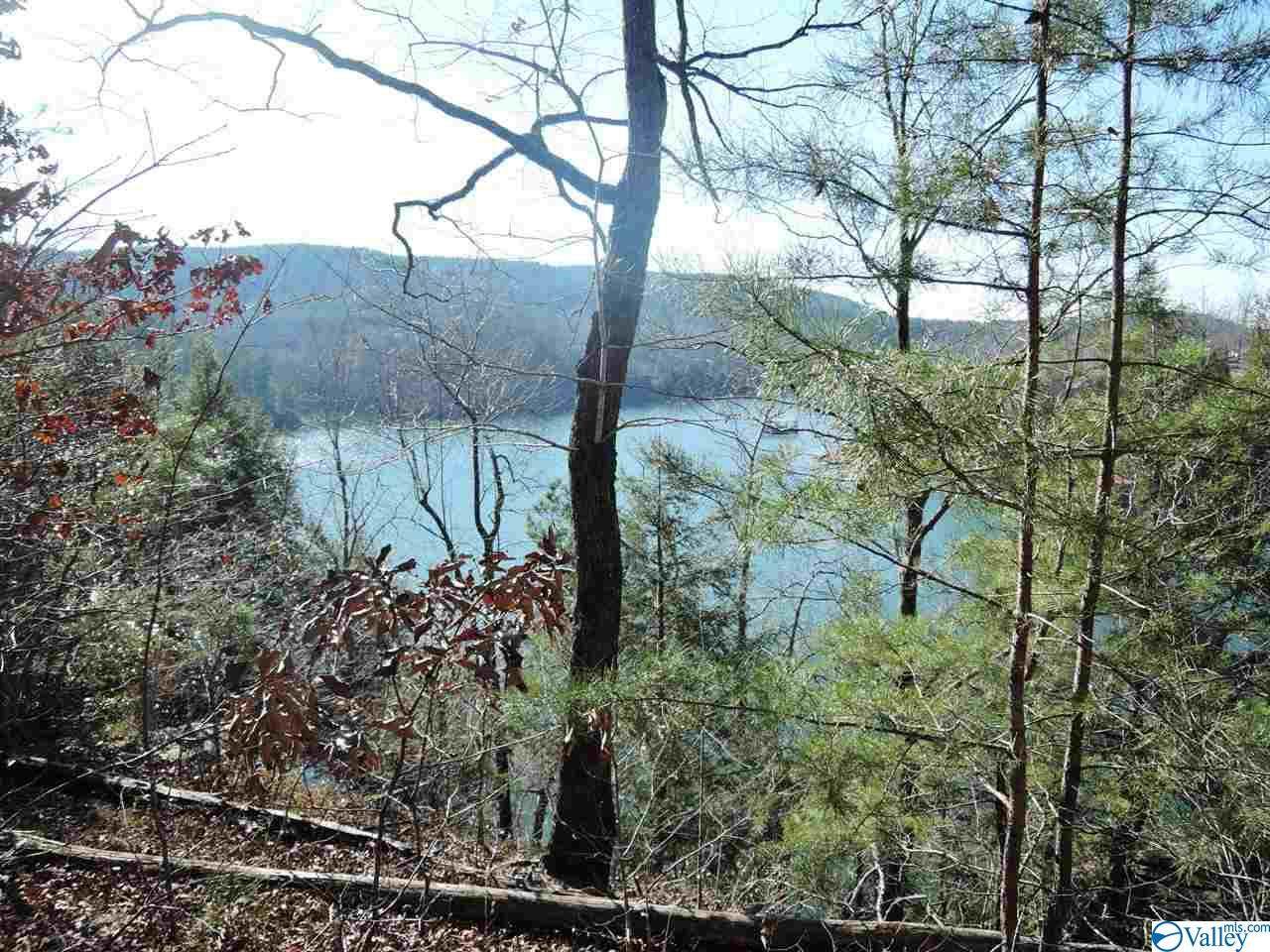 119 Sipsey Overlook Road - Photo 1