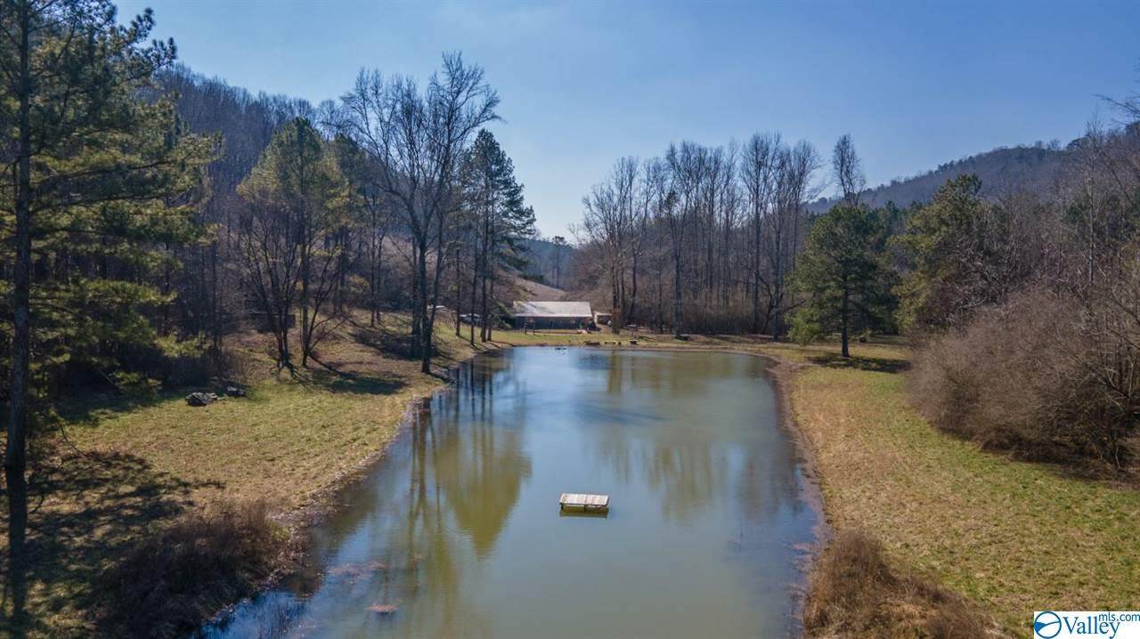 959 County Road 223 - Photo 1