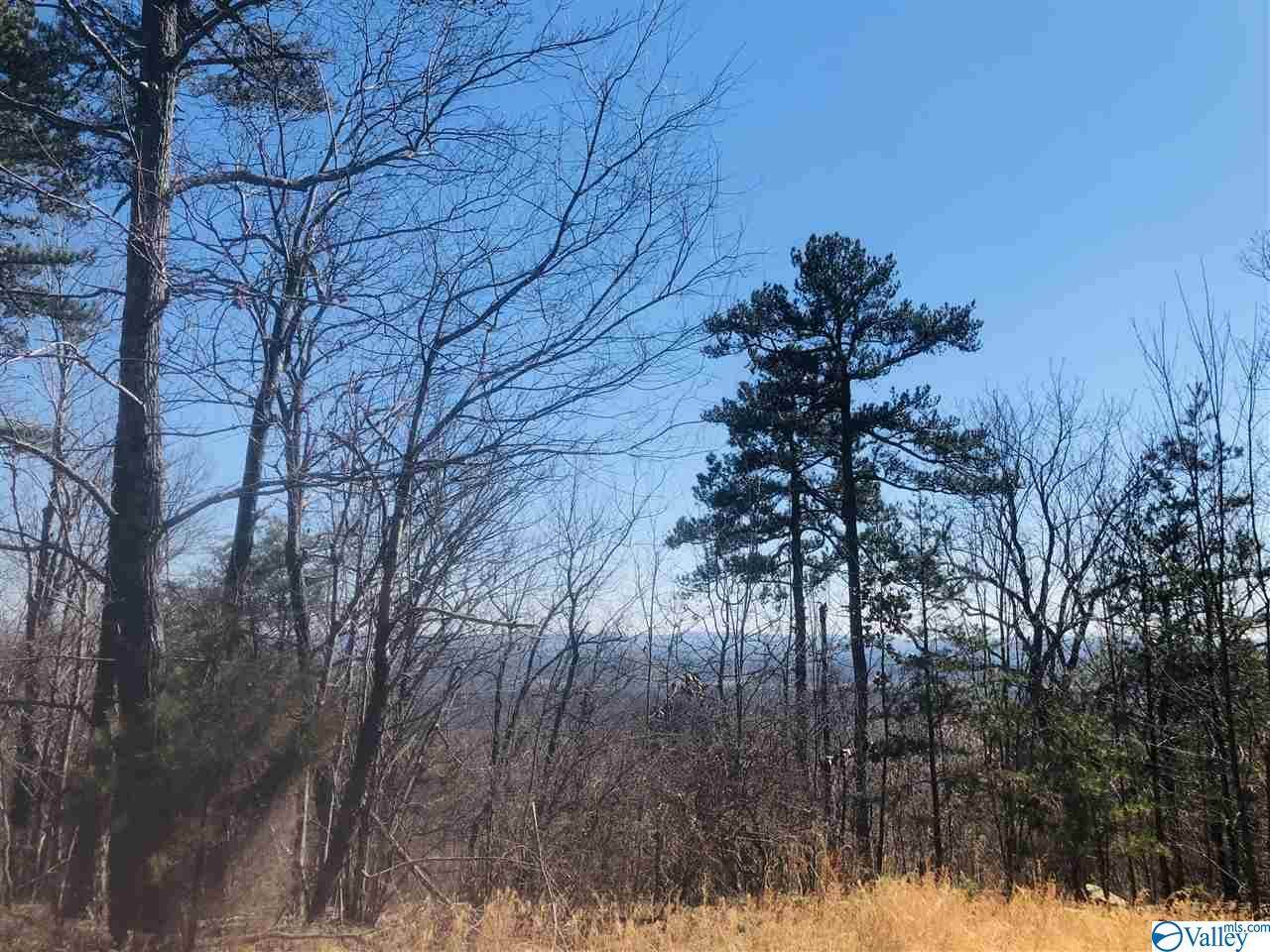 County Road 844 - Photo 1