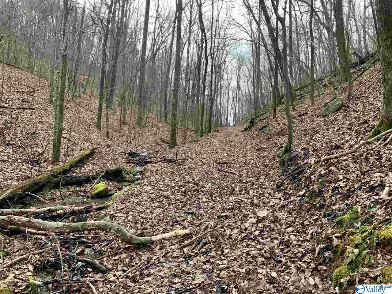 0 County Road 41 - Photo 1