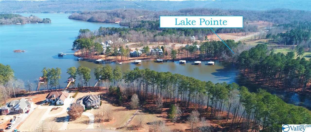 Lot 2 Lake Pointe Circle - Photo 1