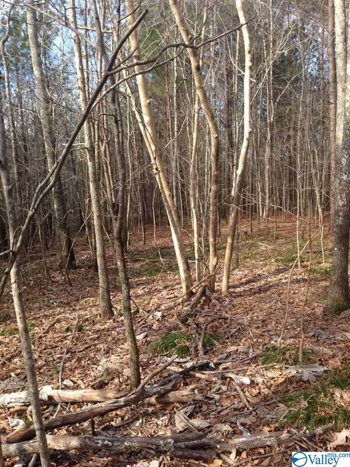 Lot 41 and 41A Turkey Bend Drive - Photo 1