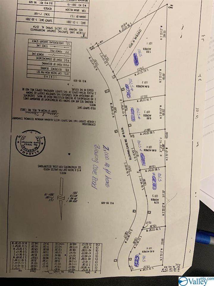 0 Blowing Cave Road - Photo 1