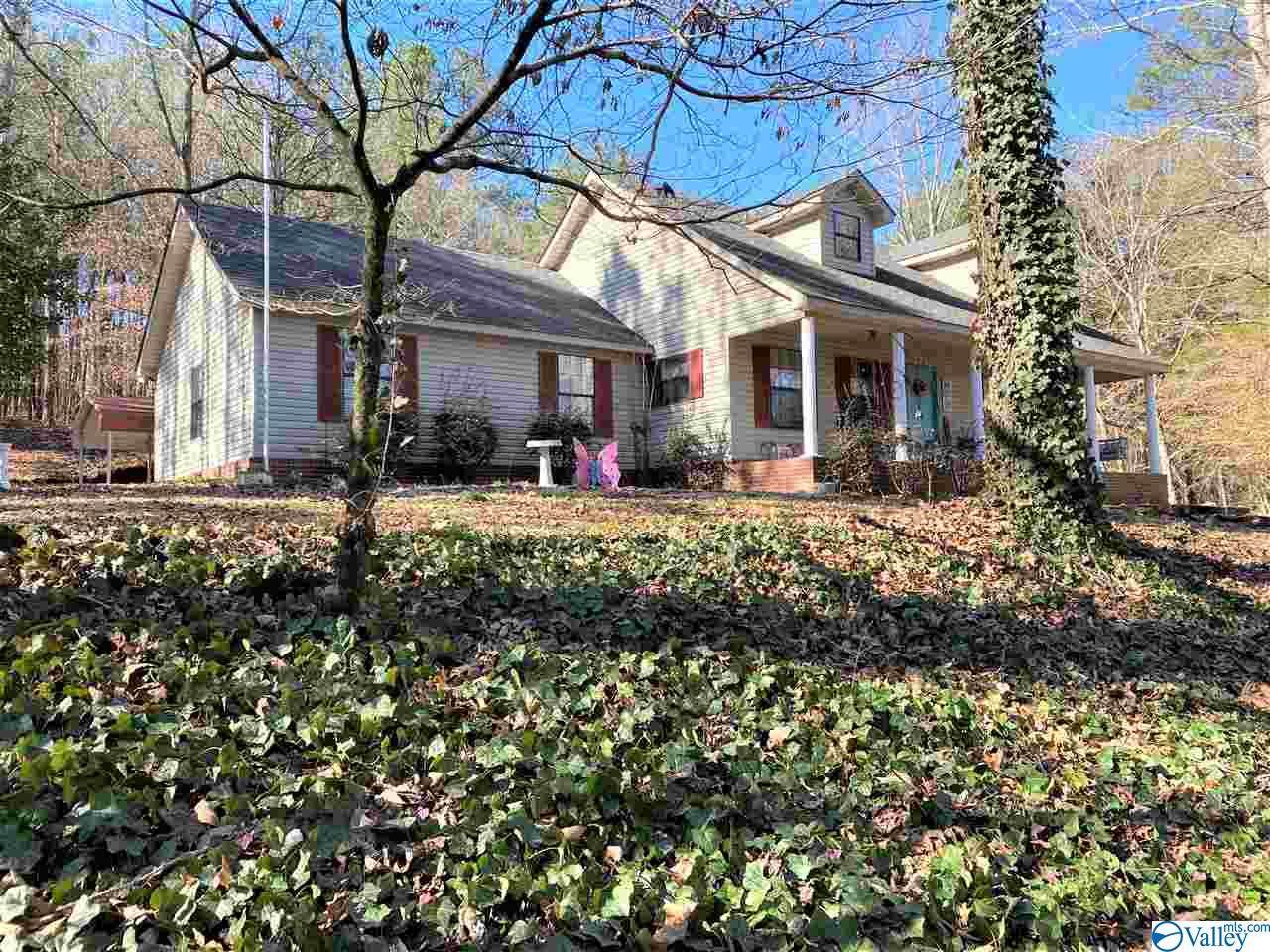 31 Freeman Road - Photo 1