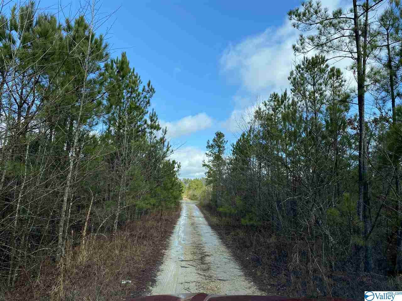 00 Alexis Road - Photo 1