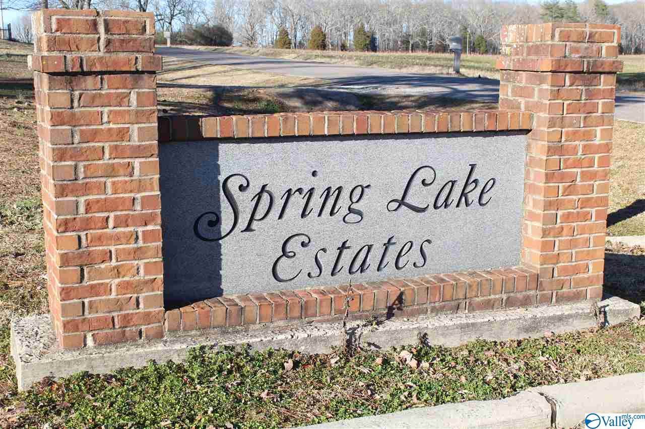 15277 Spring Lake Drive - Photo 1