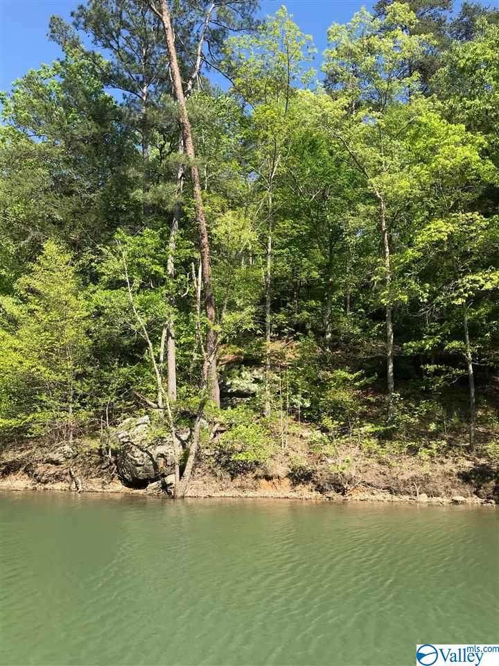 43 Sipsey Overlook - Photo 1