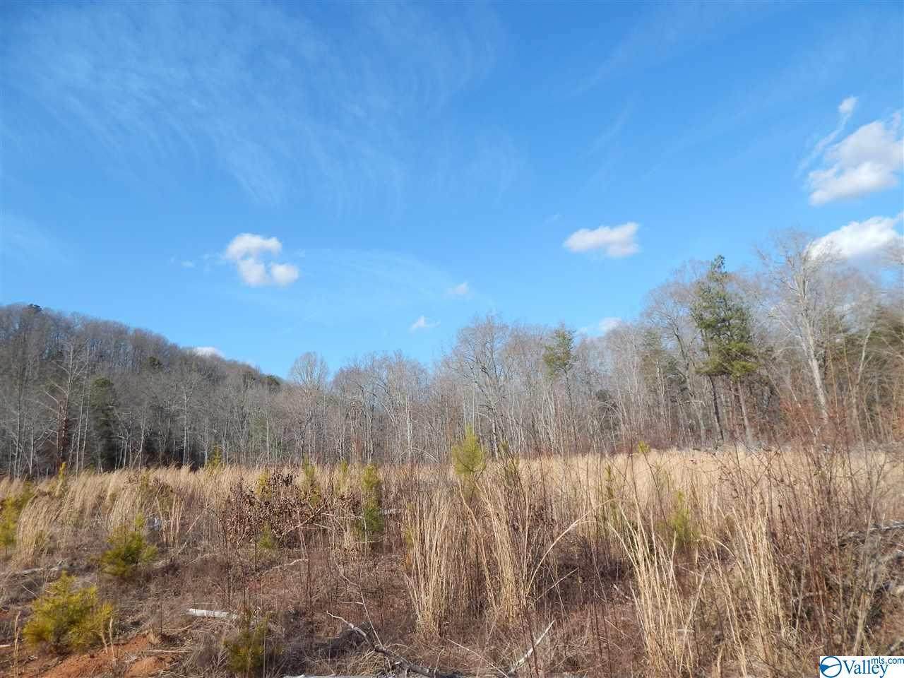 County Road 512 - Photo 1