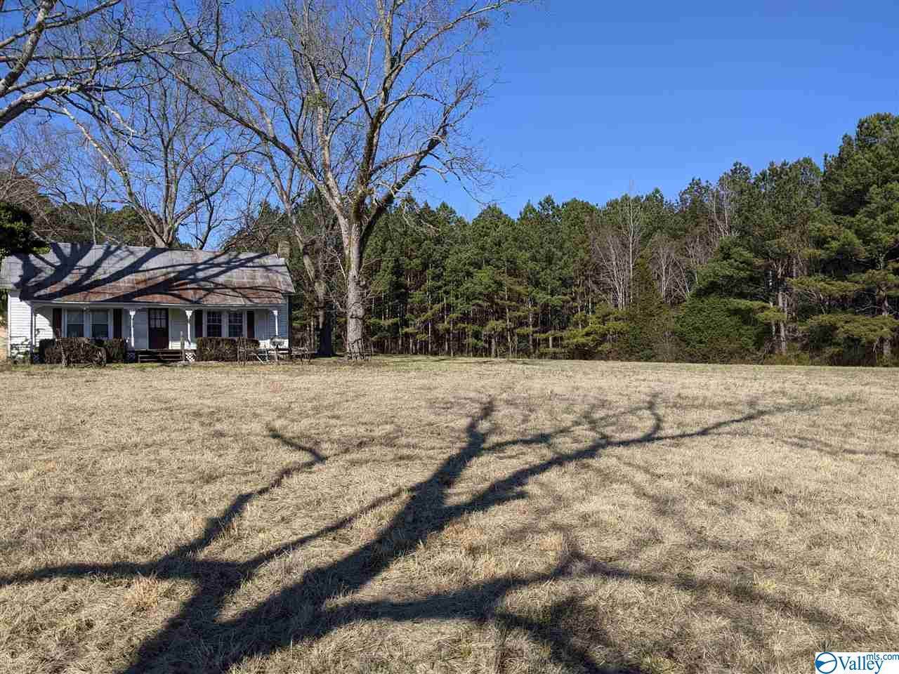 1290 Perkins Wood Road - Photo 1