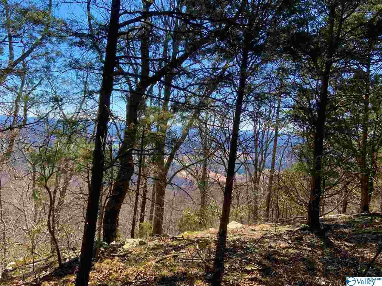 81 Blowing Cave Road - Photo 1