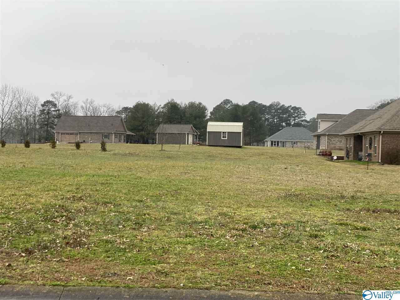 Lot 5 Village Lane - Photo 1