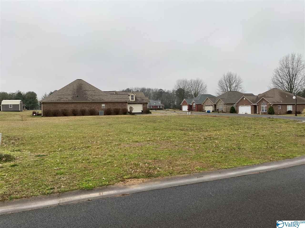 Lot 6 Village Lane - Photo 1