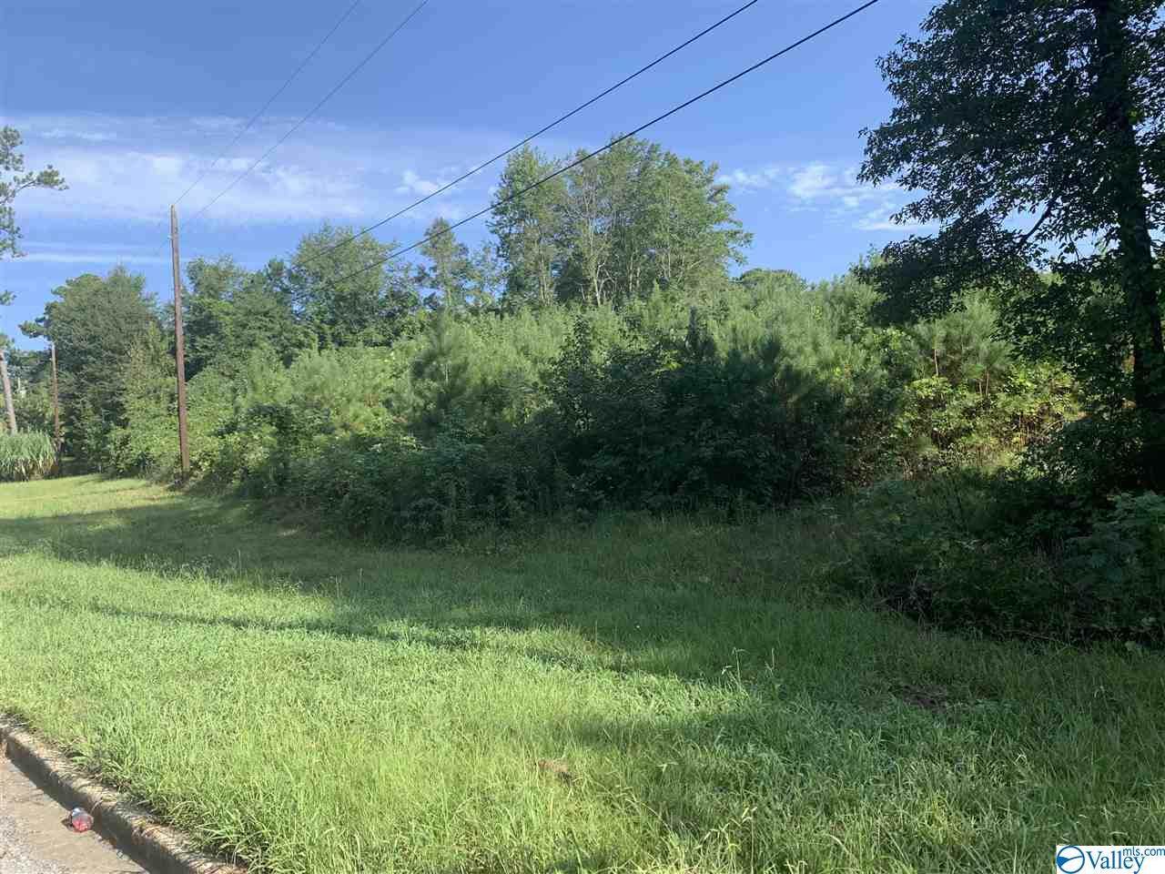 00 Cleveland Avenue - Photo 1