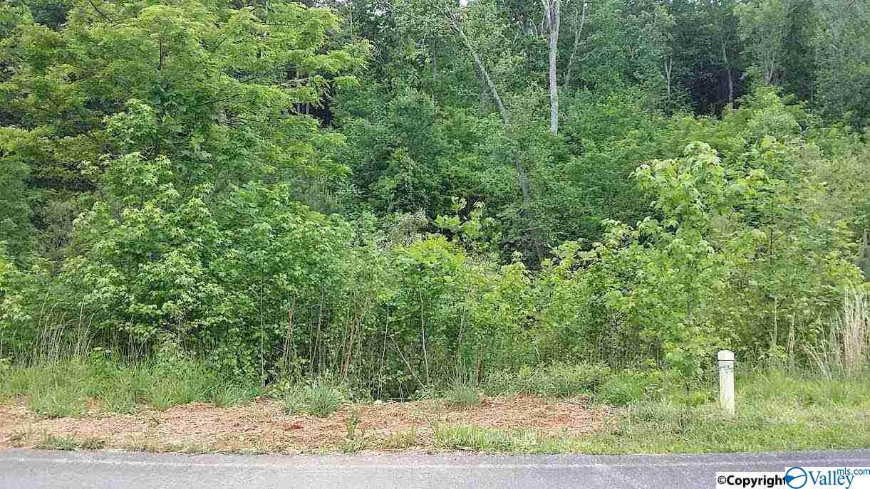 0 Lookout Mountain Drive - Photo 1