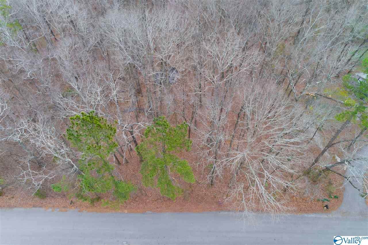 Montclair Road - Photo 1
