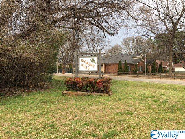 0 Mountain View Drive - Photo 1