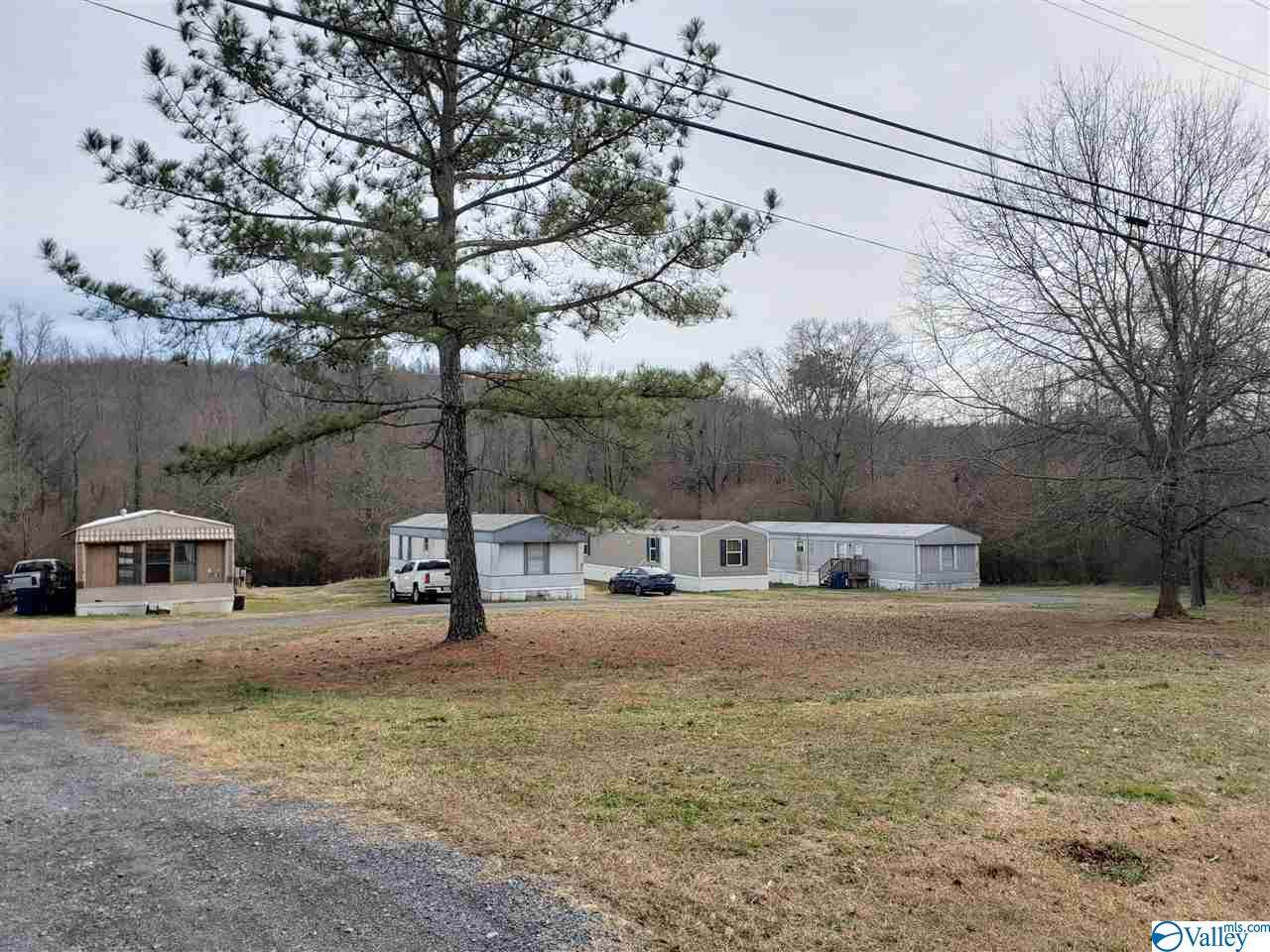 5365 Alabama Highway 79 - Photo 1