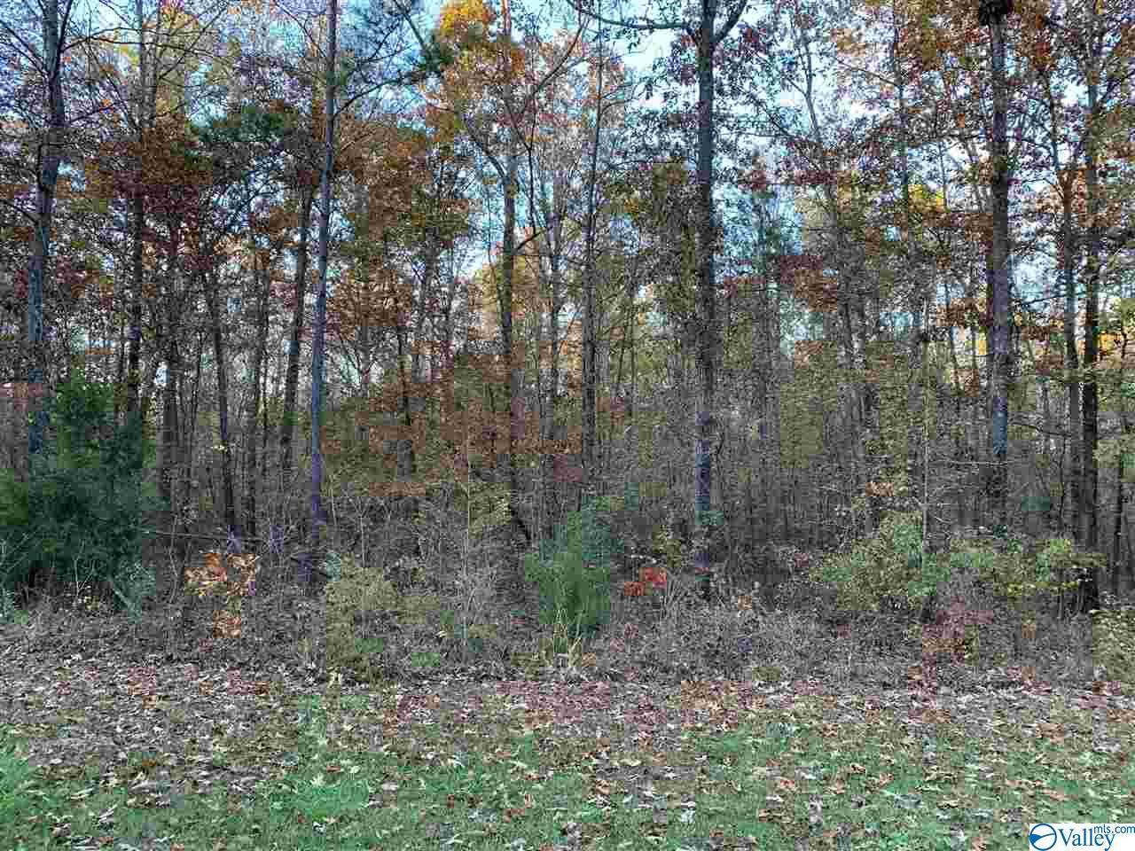 00 County Road 642 - Photo 1