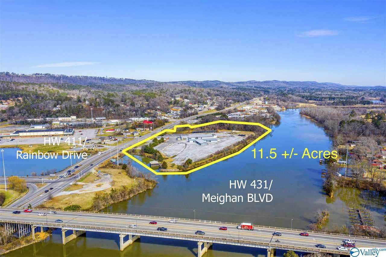 331 Albert Rains Blvd - Photo 1
