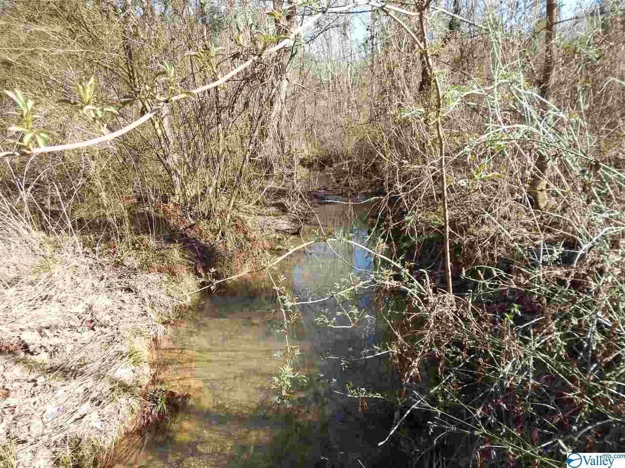 County Road 159 - Photo 1