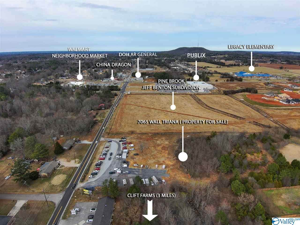 7065 Wall Triana Hwy - Photo 1