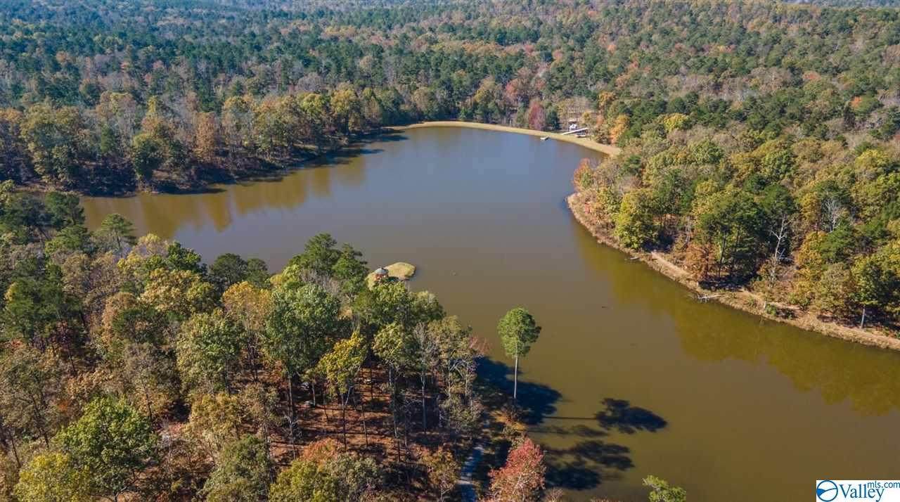 Lot 49 Lakeview Drive - Photo 1