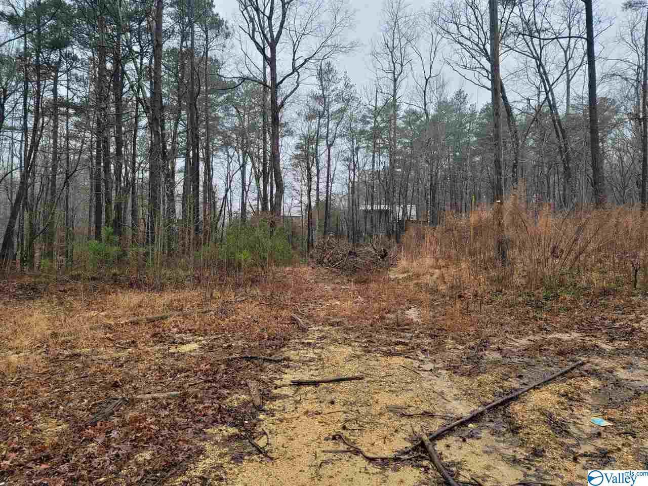 Lot 59 Road 9079 - Photo 1