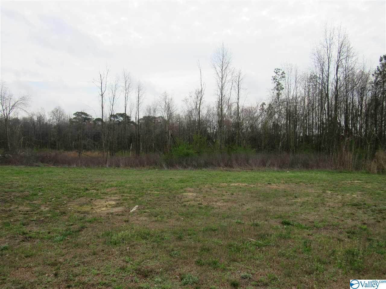 11800 Alabama Highway 227 - Photo 1