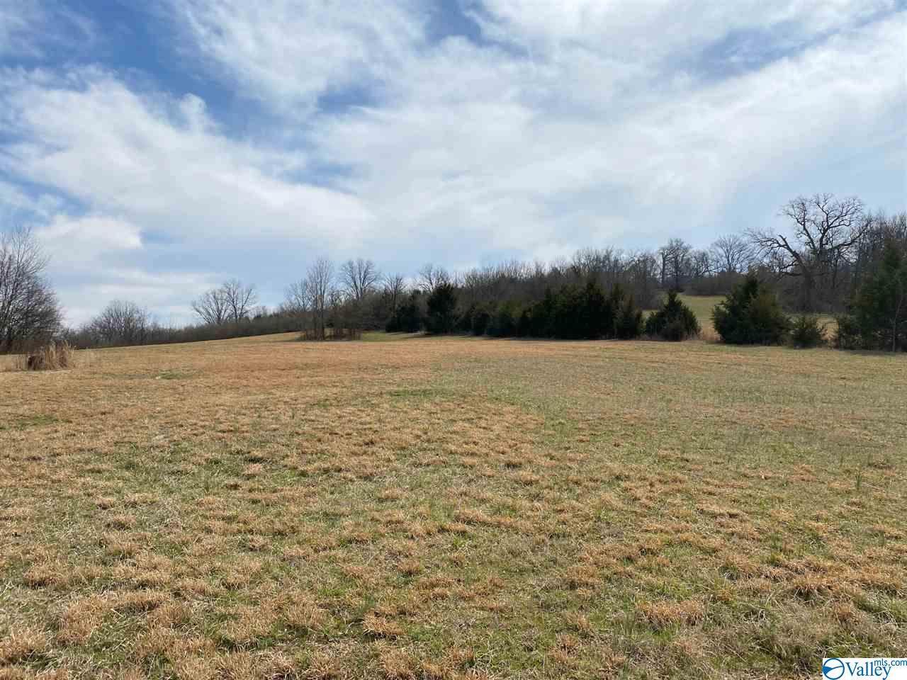 0 Lewisburg Hwy - Photo 1