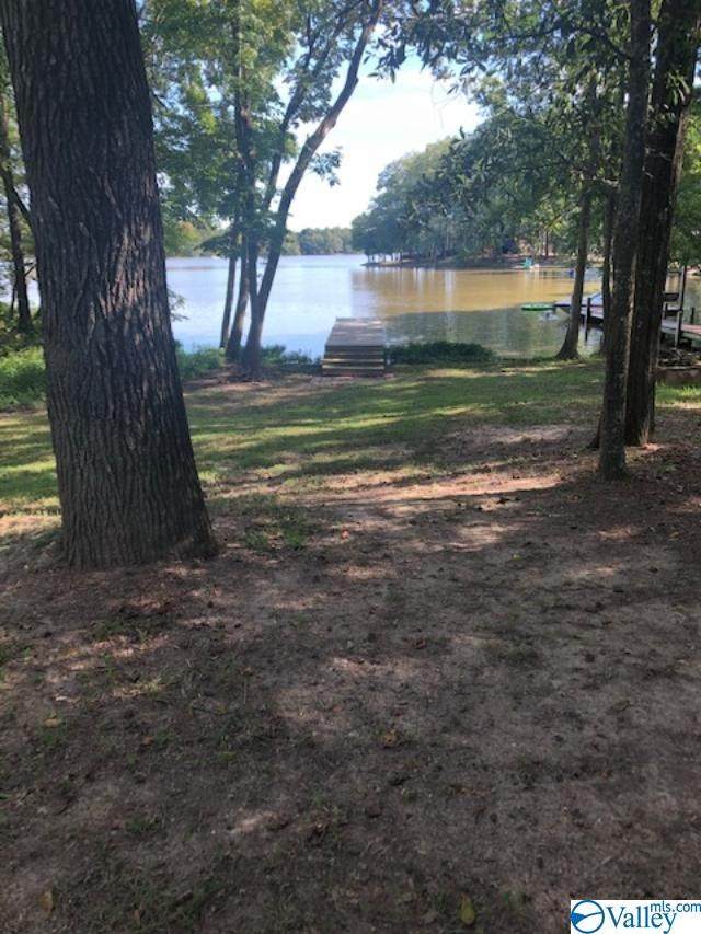 Lot 6 County Road 609 - Photo 1