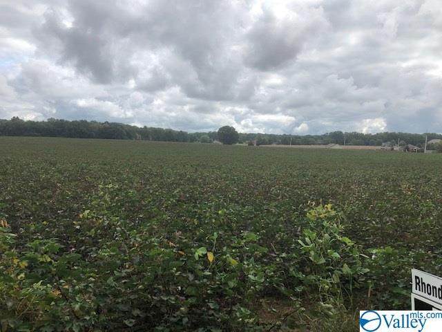 TRACT 6 B West Limestone Road - Photo 1