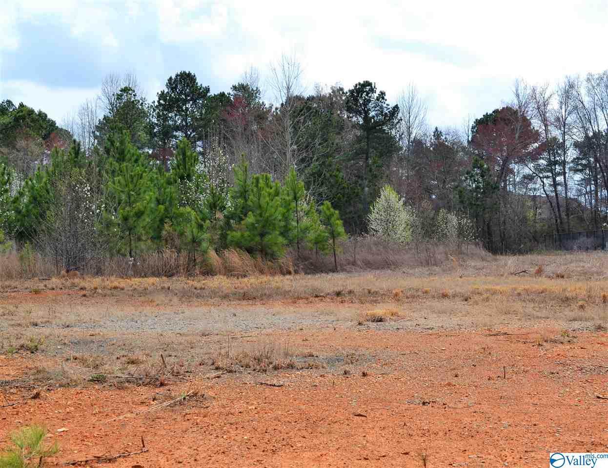 Capshaw Road - Photo 1
