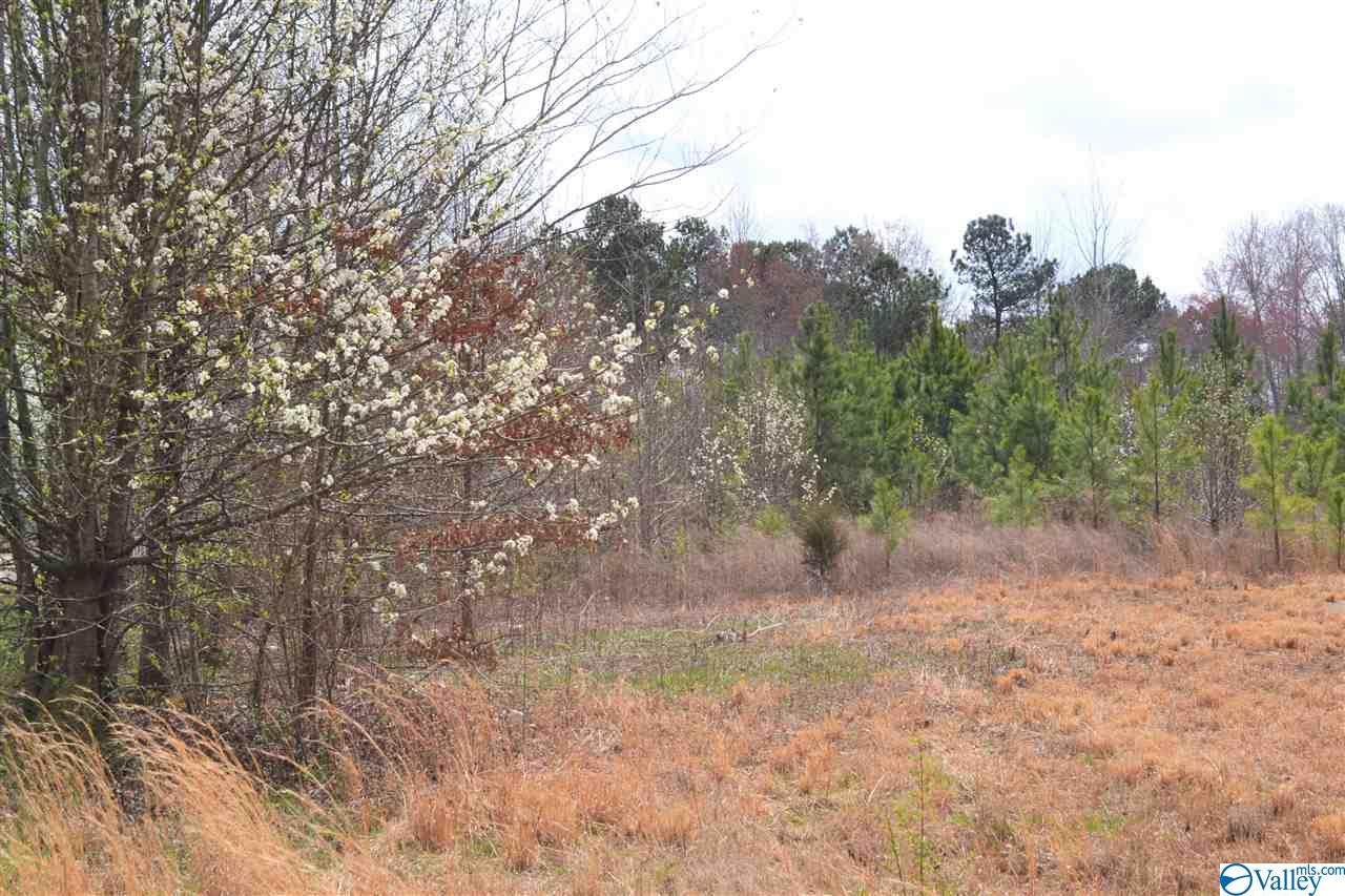 00 Capshaw Road - Photo 1