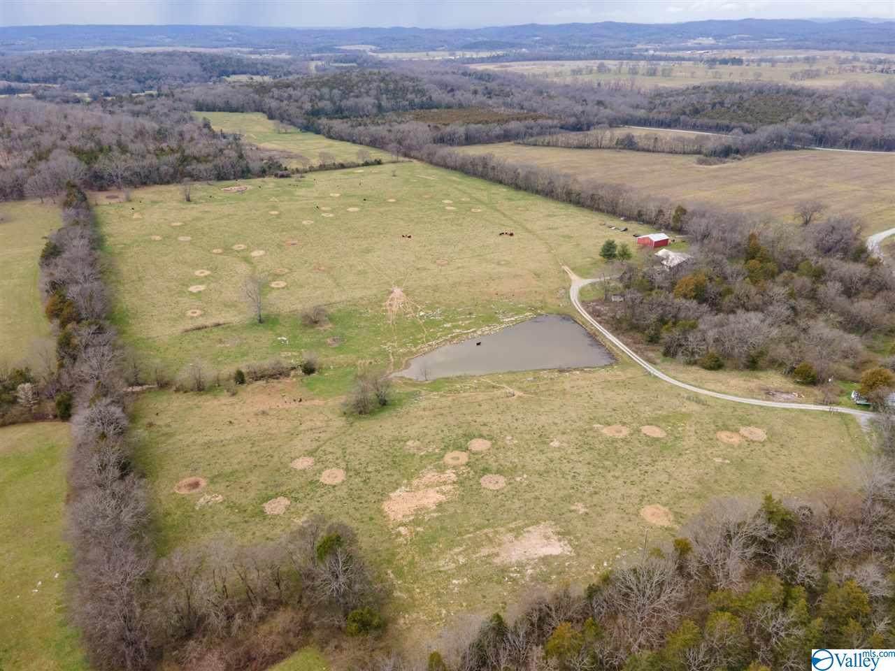 247 John Suggs Road - Photo 1