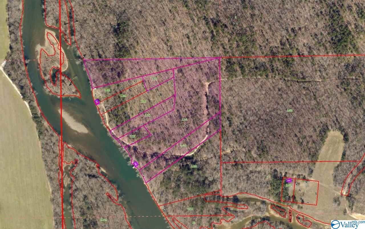 000 County Road 766 - Photo 1